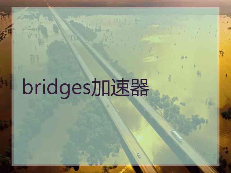 bridges加速器