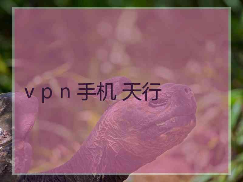 v p n 手机 天行