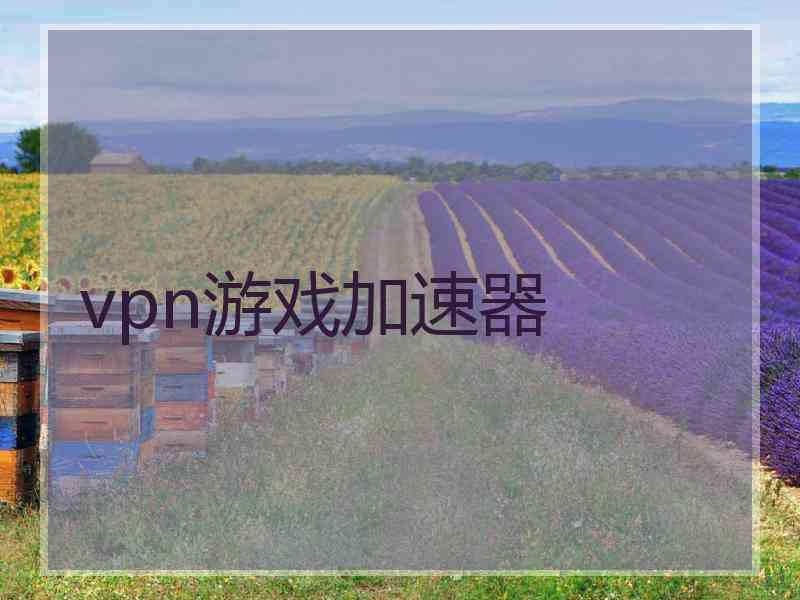 vpn游戏加速器