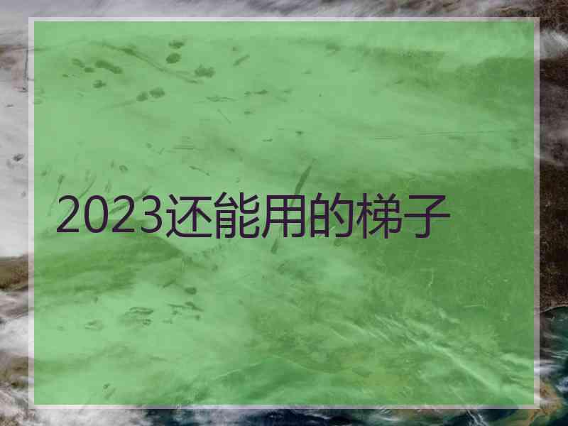 2023还能用的梯子