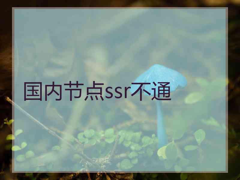 国内节点ssr不通