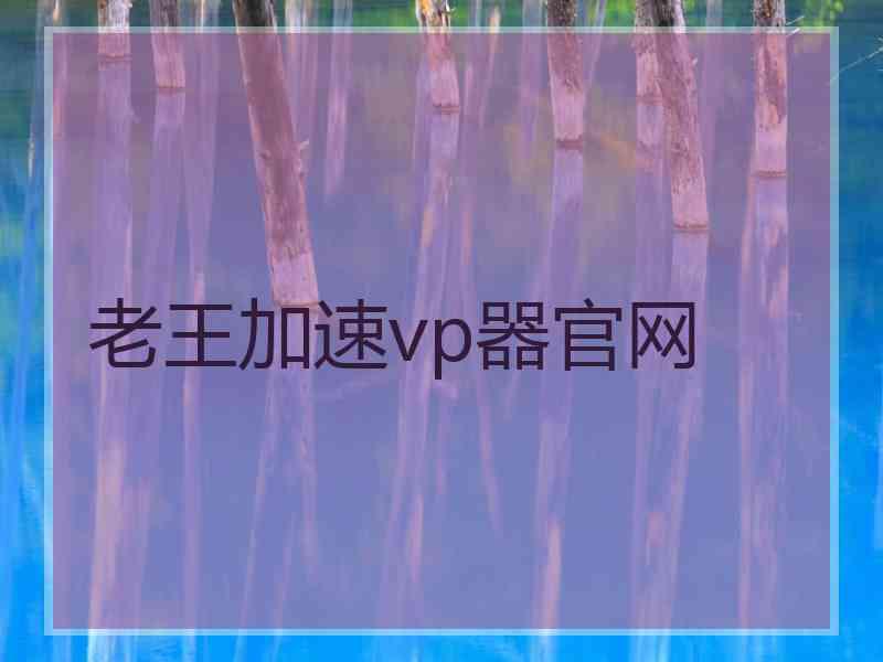 老王加速vp器官网