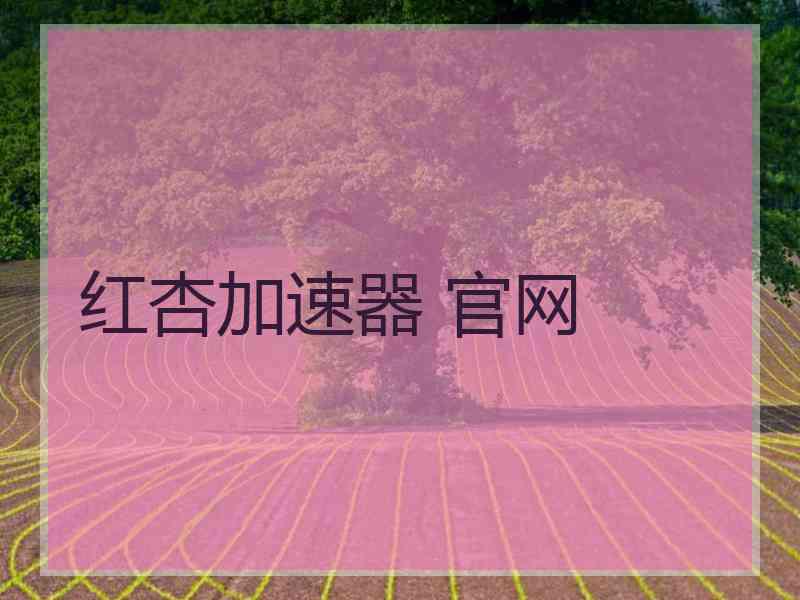 红杏加速器 官网