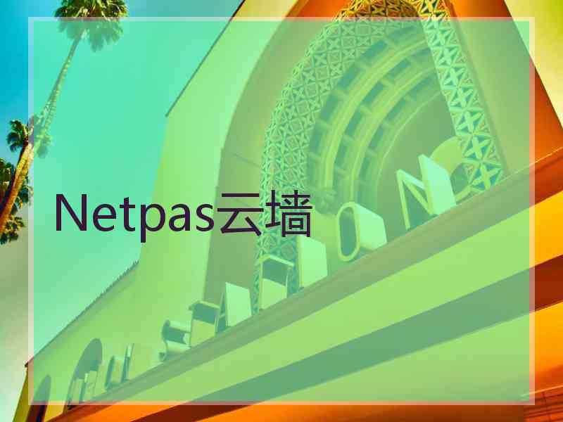 Netpas云墙