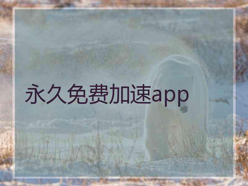 永久免费加速app