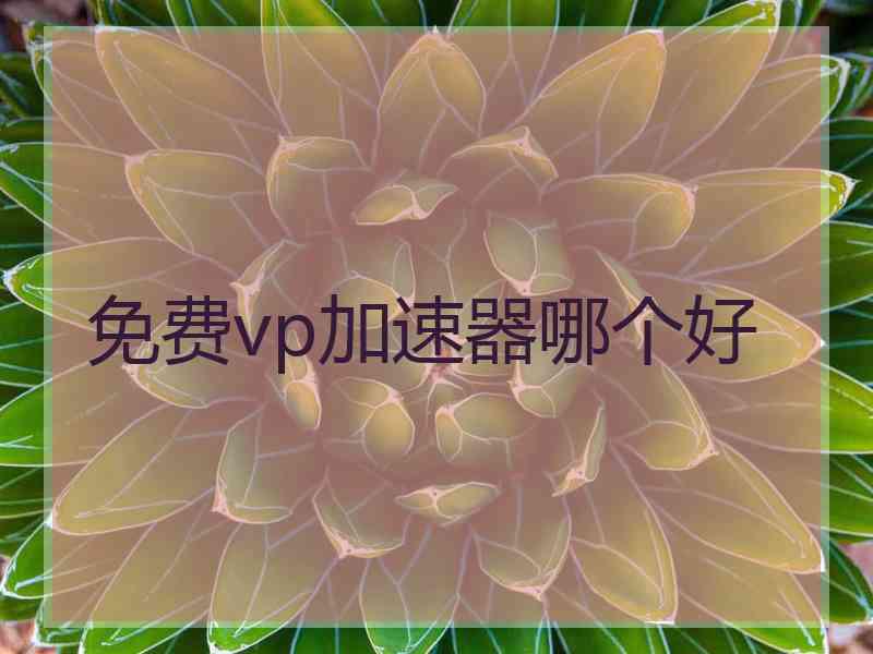 免费vp加速器哪个好