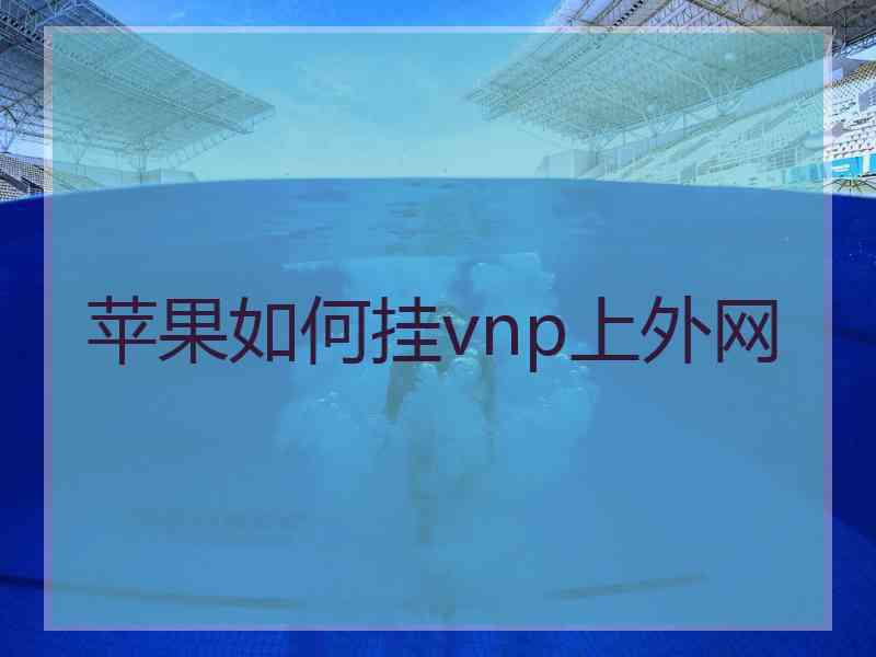 苹果如何挂vnp上外网