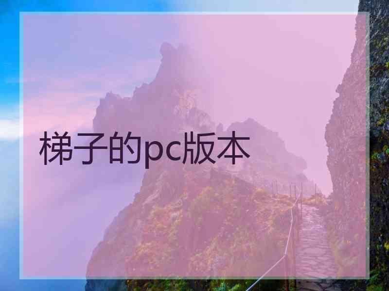 梯子的pc版本