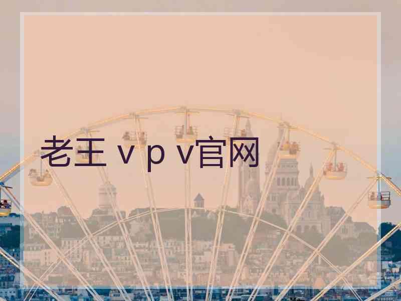 老王 v p v官网