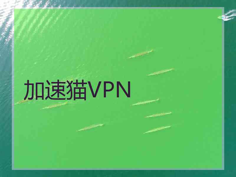 加速猫VPN