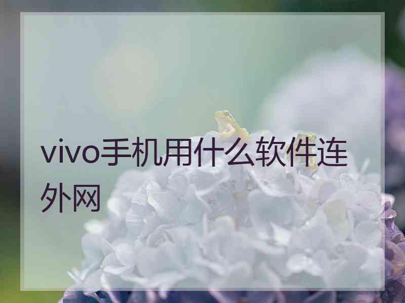 vivo手机用什么软件连外网