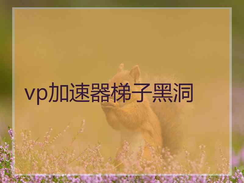 vp加速器梯子黑洞