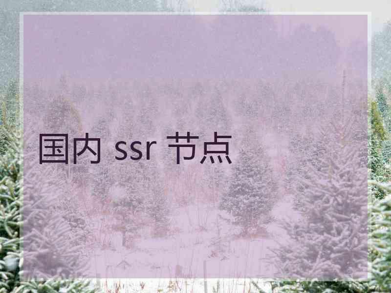 国内 ssr 节点