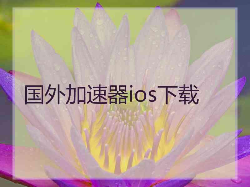 国外加速器ios下载