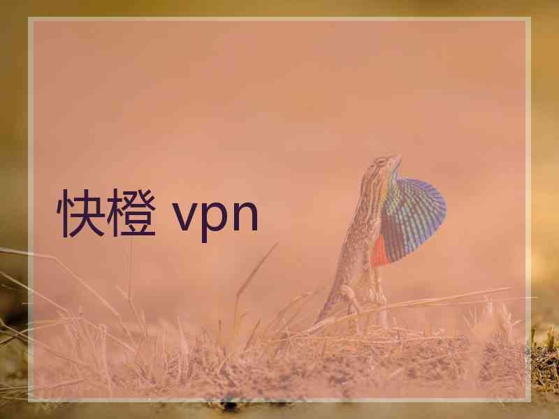 快橙 vpn