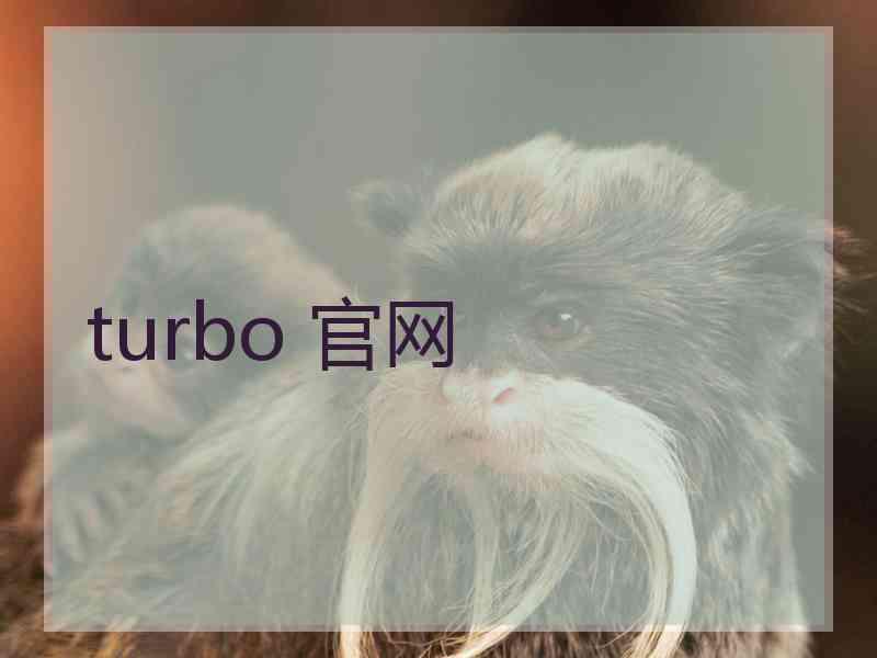 turbo 官网