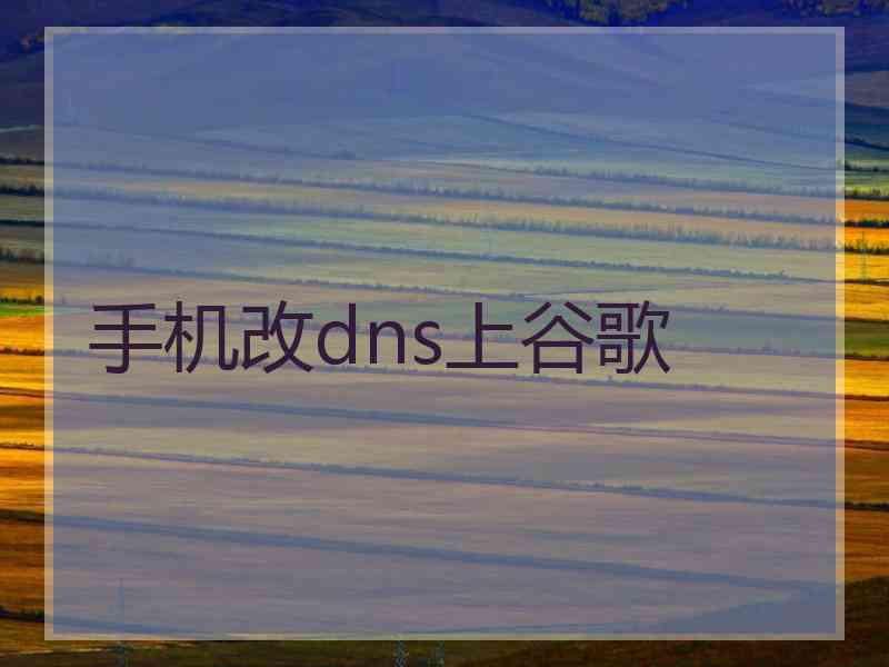 手机改dns上谷歌