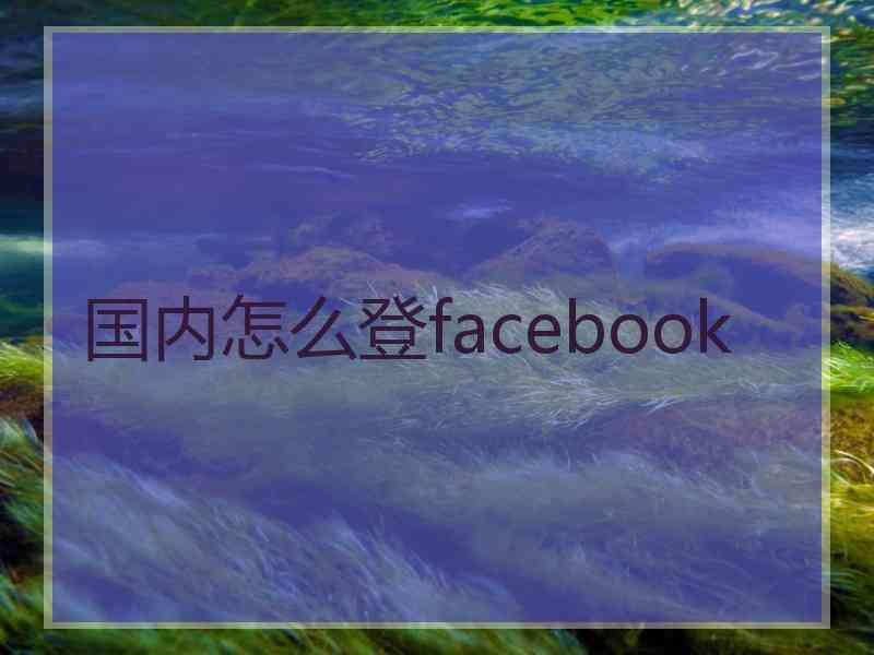 国内怎么登facebook