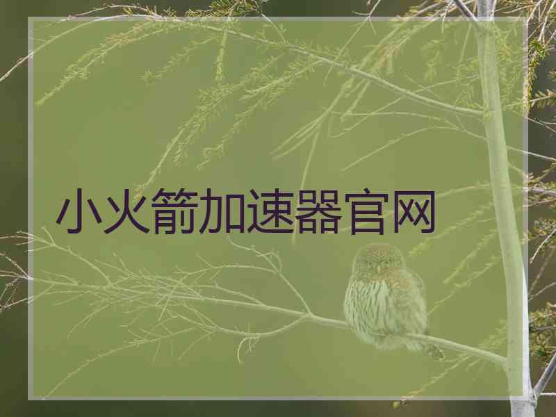 小火箭加速器官网