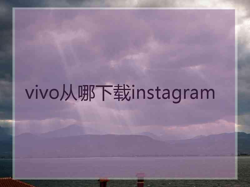 vivo从哪下载instagram