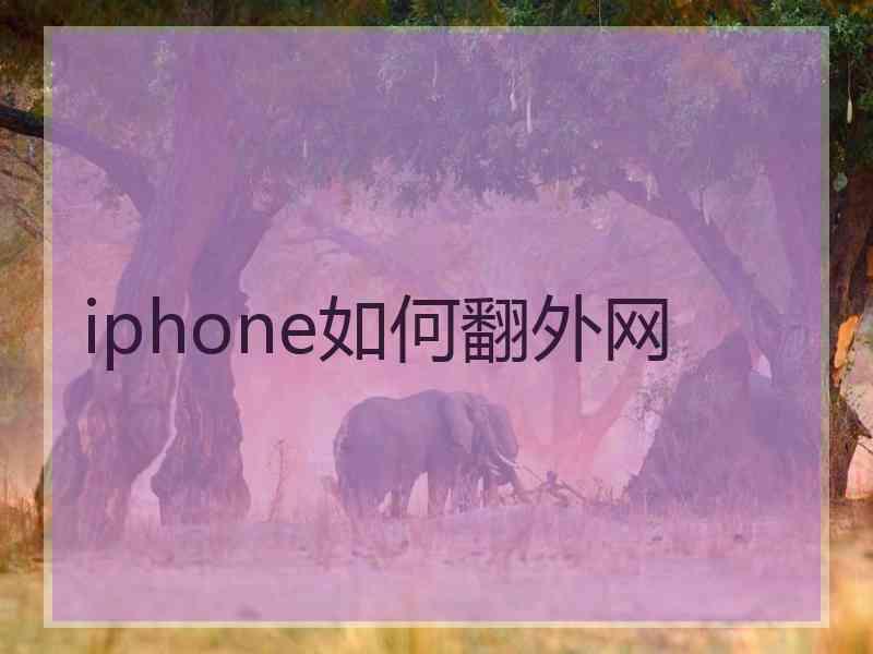 iphone如何翻外网