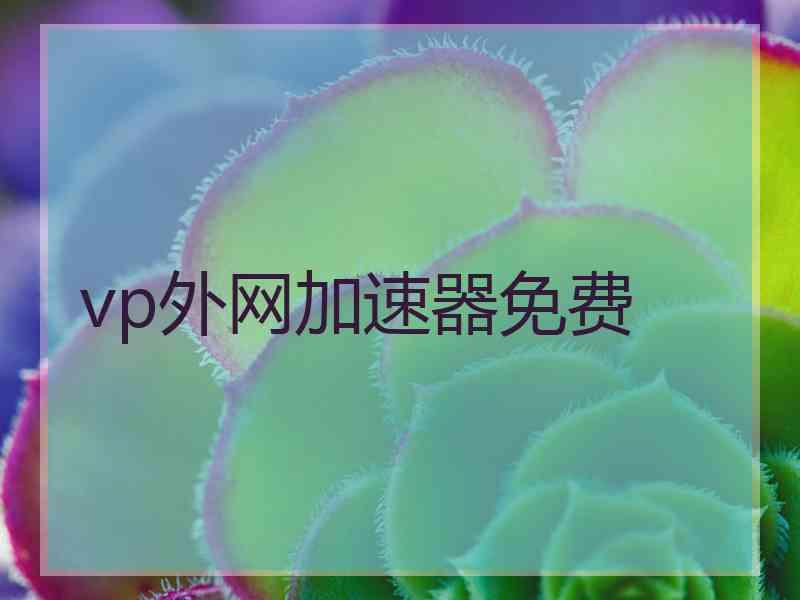 vp外网加速器免费