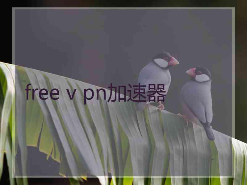 free v pn加速器