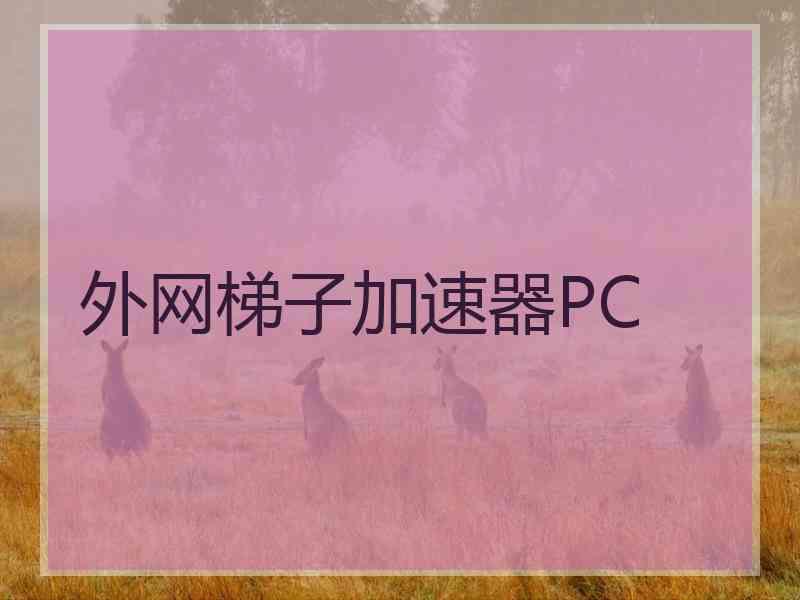 外网梯子加速器PC