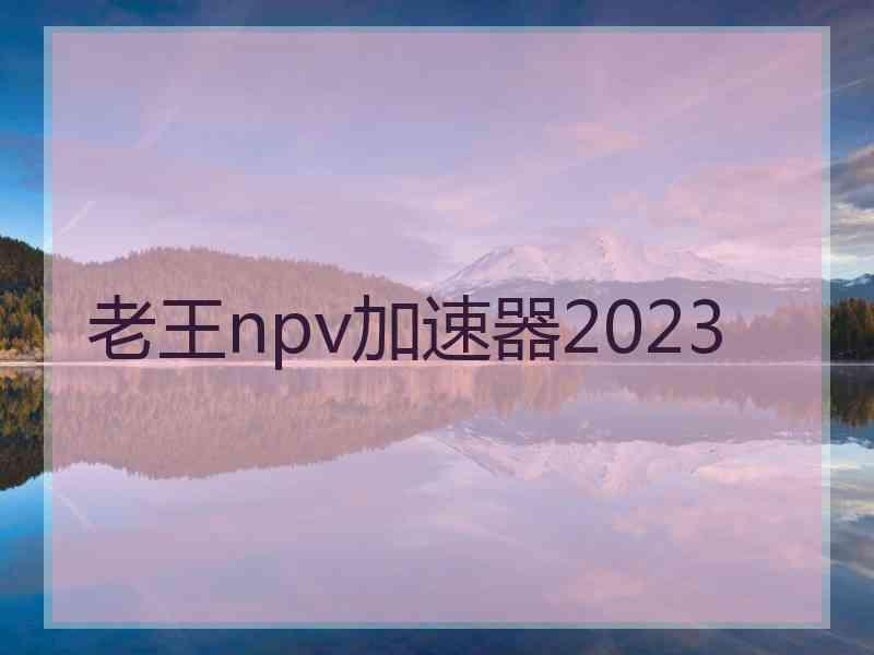 老王npv加速器2023