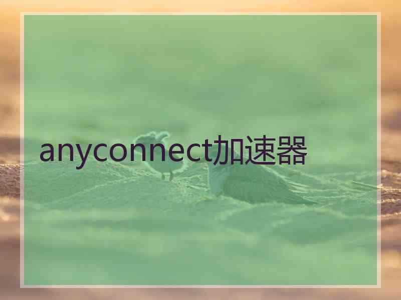 anyconnect加速器