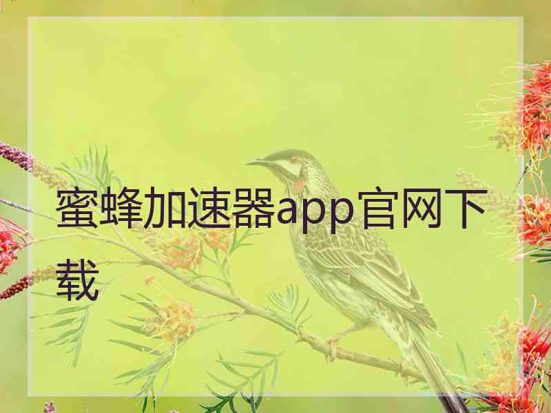 蜜蜂加速器app官网下载