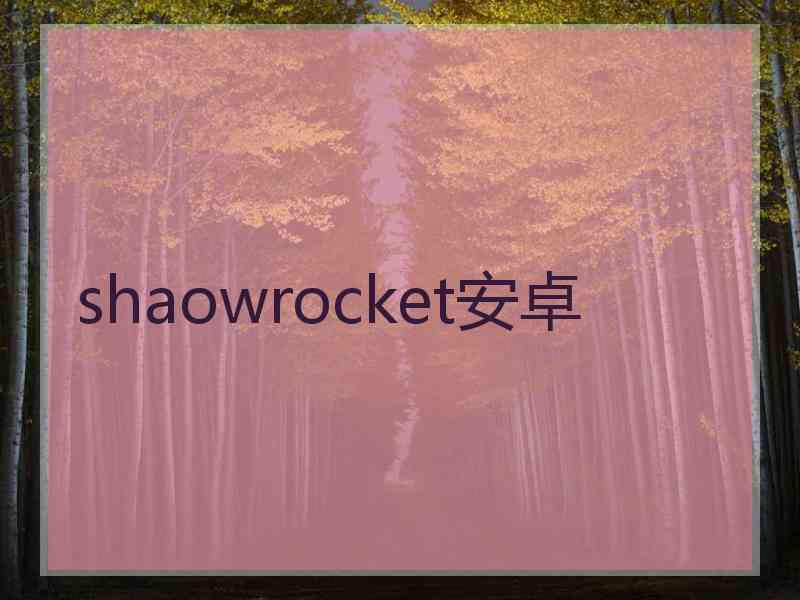 shaowrocket安卓