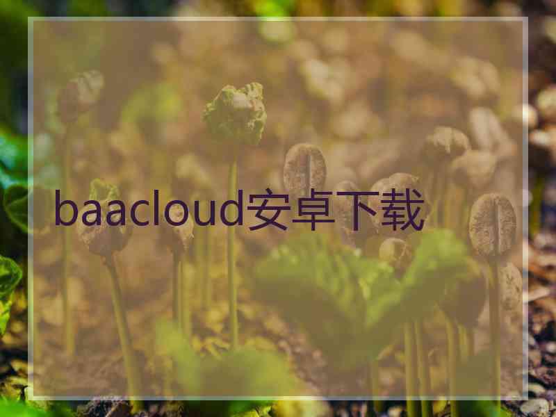 baacloud安卓下载