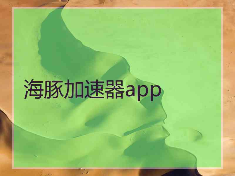 海豚加速器app