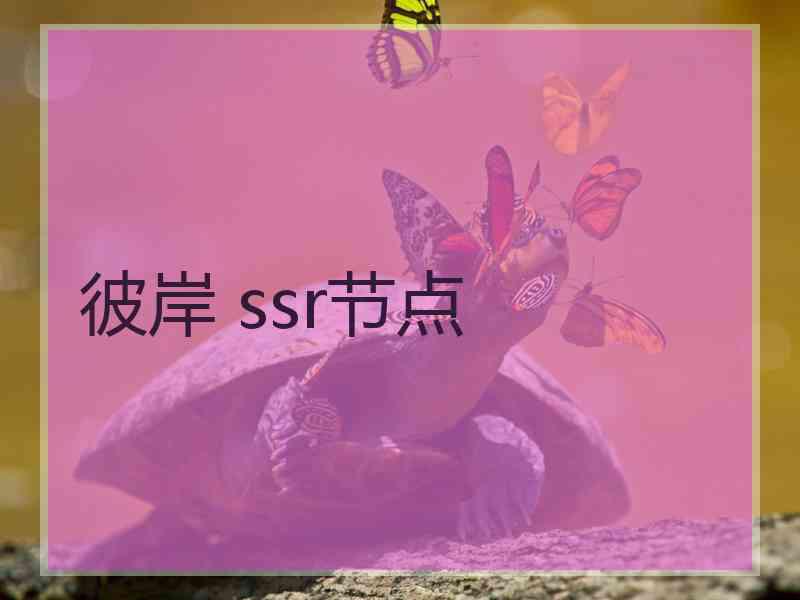 彼岸 ssr节点