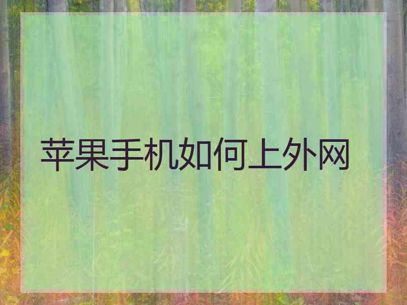 苹果手机如何上外网