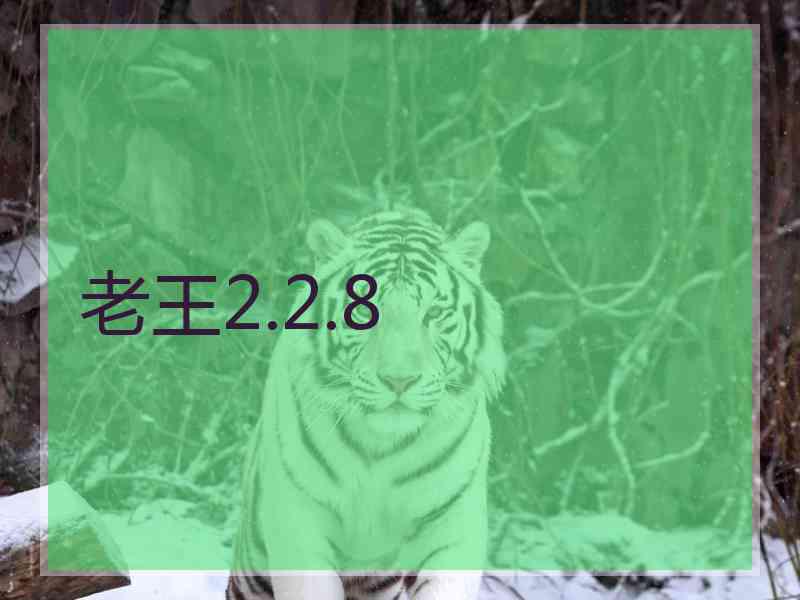 老王2.2.8