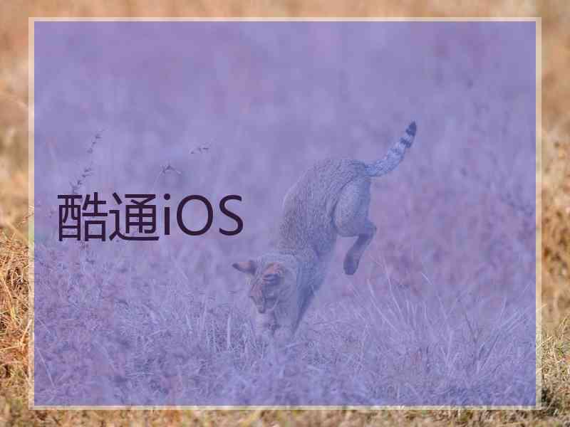 酷通iOS