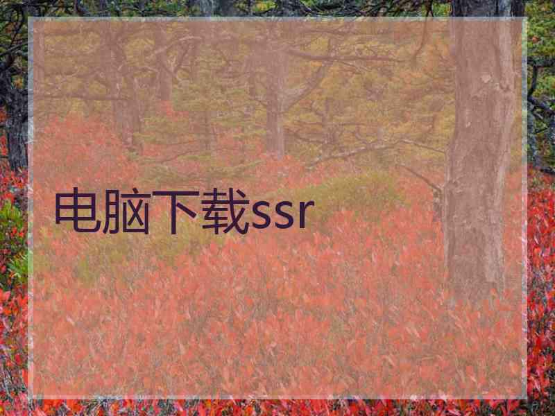 电脑下载ssr