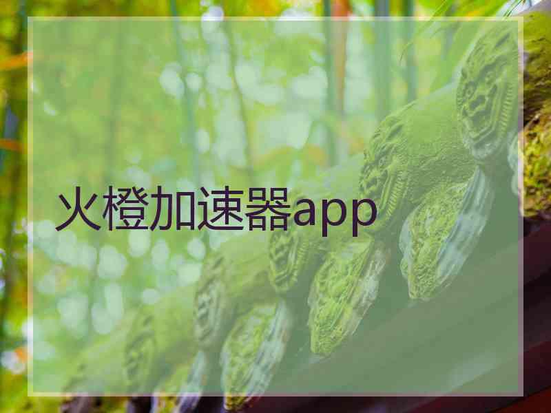 火橙加速器app