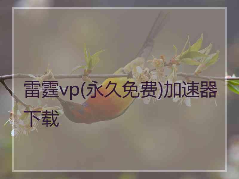 雷霆vp(永久免费)加速器下载