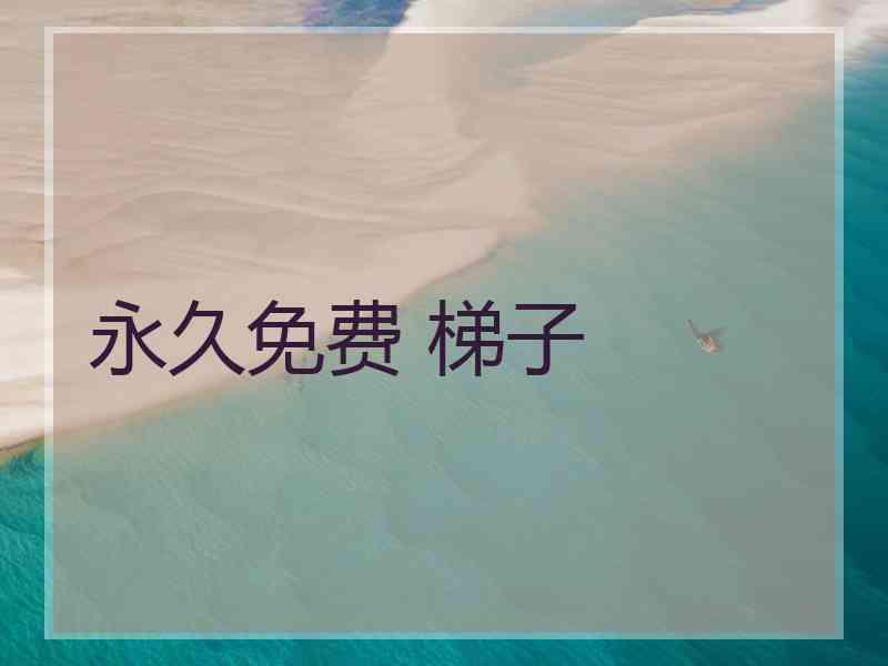 永久免费 梯子