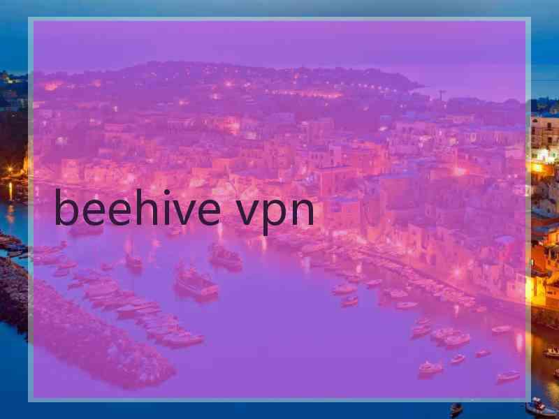 beehive vpn