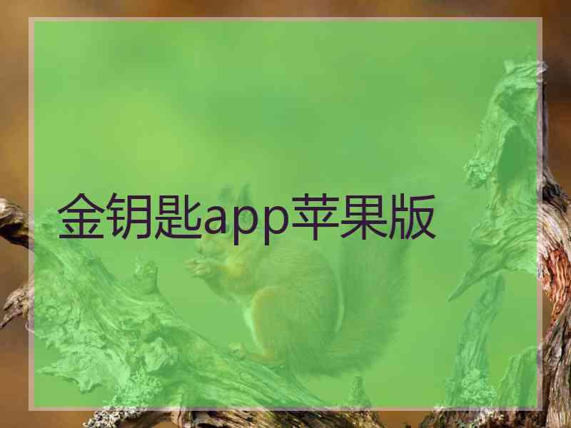 金钥匙app苹果版