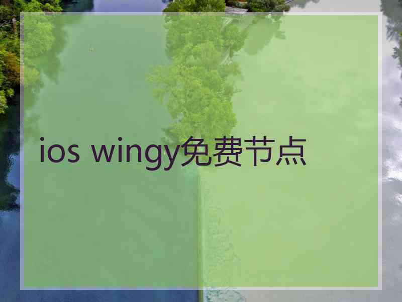 ios wingy免费节点