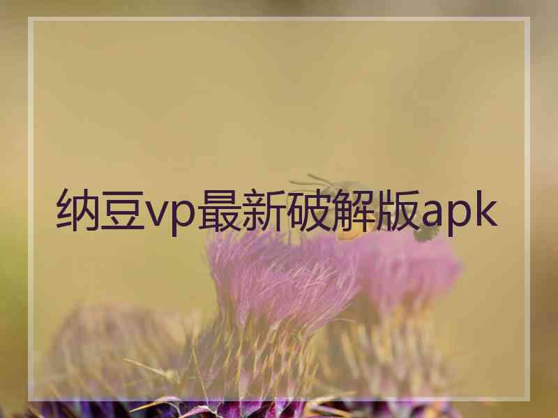 纳豆vp最新破解版apk