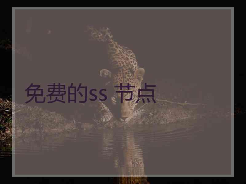 免费的ss 节点