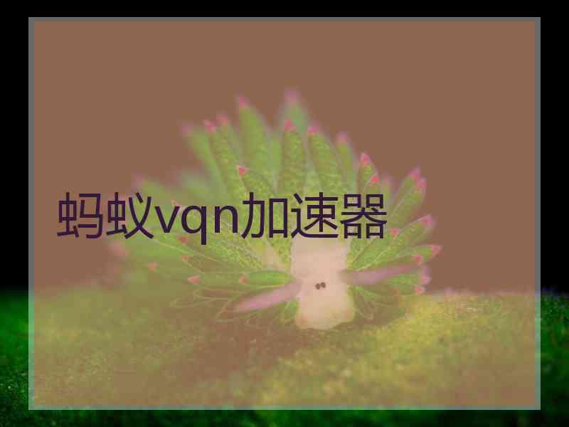 蚂蚁vqn加速器