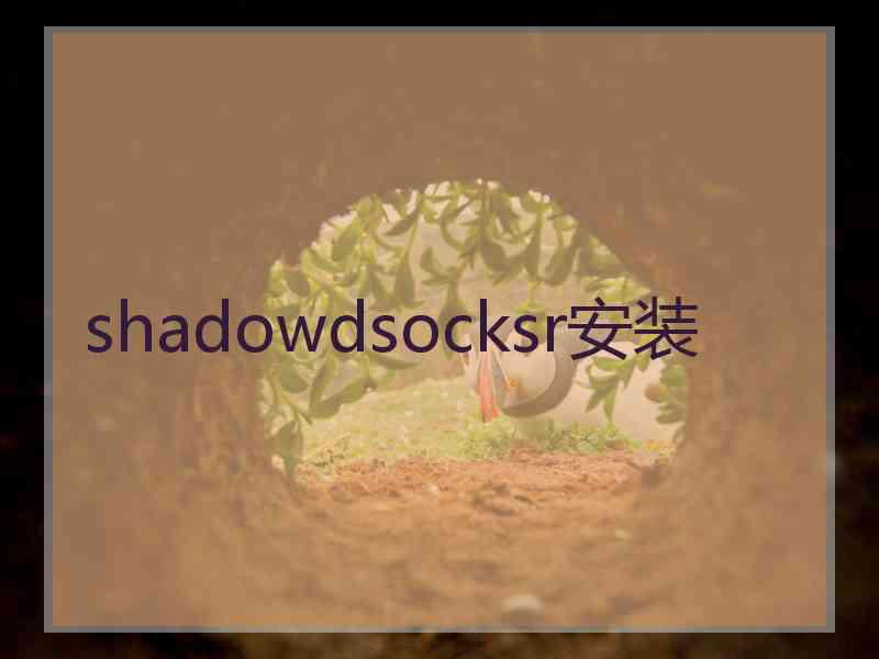 shadowdsocksr安装