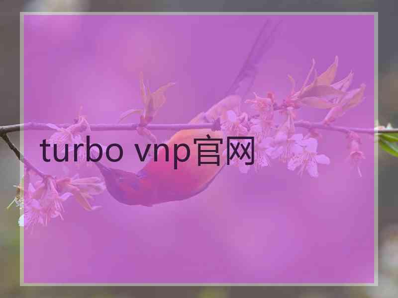 turbo vnp官网